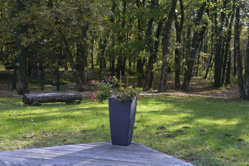 Le Bois Dormant-hotel Restaurant & Logis Hotel 3*